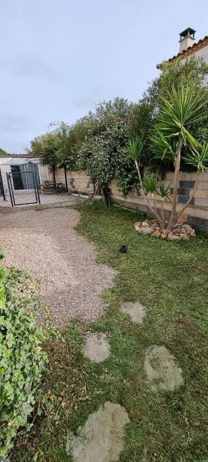 Le Cocon Apartment Balaruc-les-Bains Bagian luar foto